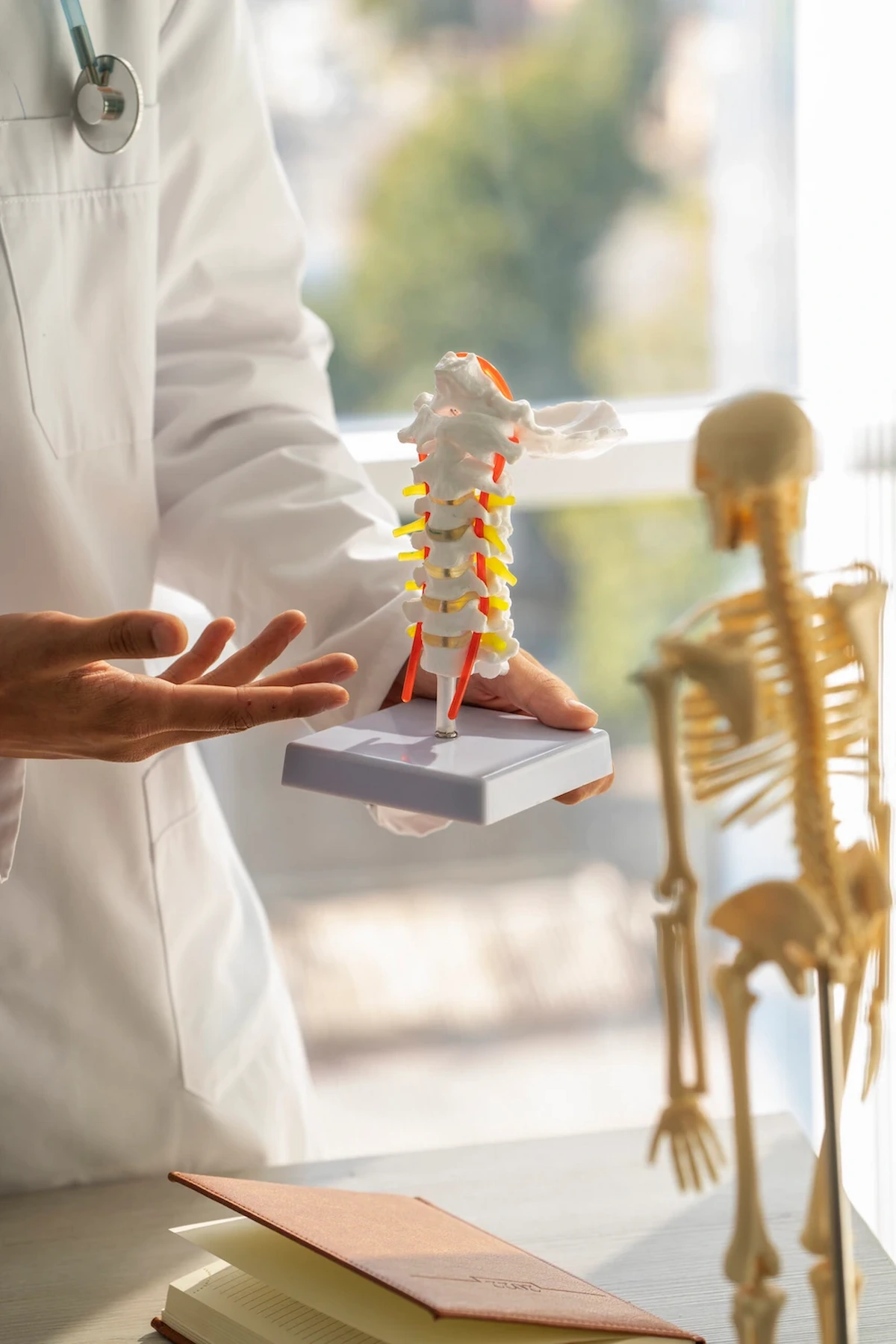 Doctor holding a human spine model while explaining spinal conditions and treatment options
