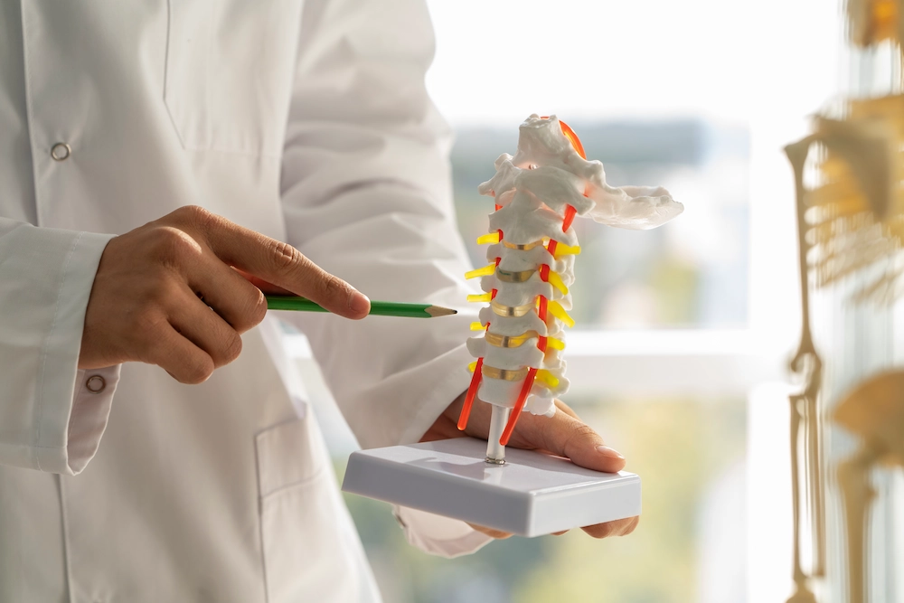 Doctor holding spine model to explain spinal disc structure and degeneration